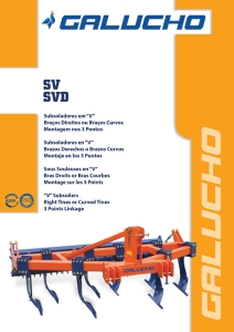 SV-SVD